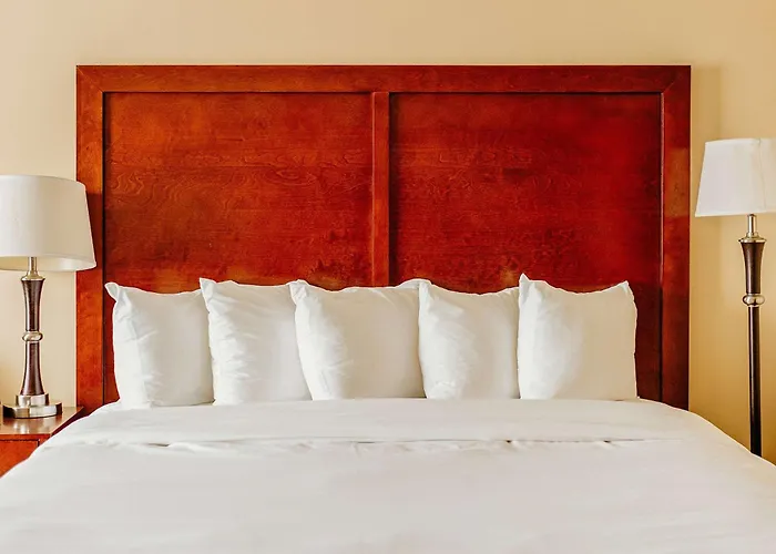 Comfort Inn Pomona Near Fairplex